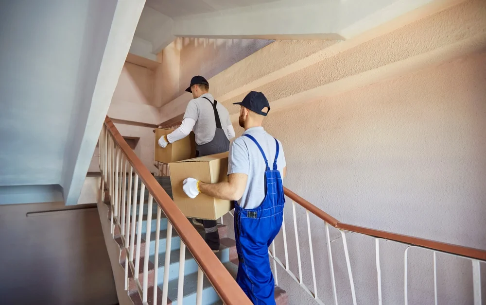 Professionelle Möbelpacker tragen Zügelkisten