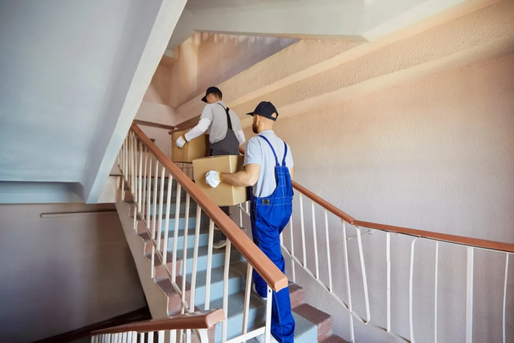 So sparen Sie bei Umzugskosten – Top-Tipps für günstige Umzüge